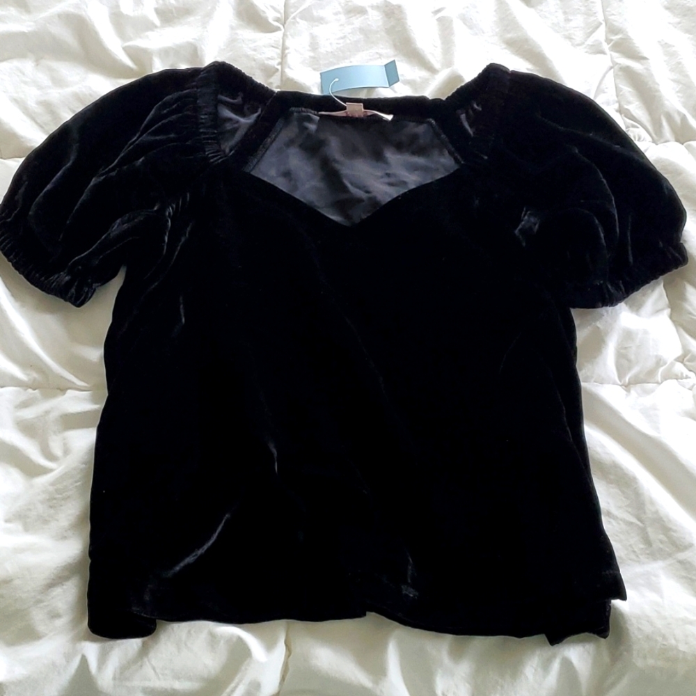NWT Elegant Velvet Puff Short Sleeve V-Neck Shirt Size M Petite